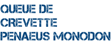Queue de crevette Penaeus Monodon