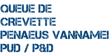 Queue de crevette Penaeus Vannamei