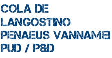 Cola de langostino Penaeus Vannamei