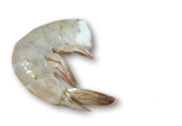 Cola de Langostino Penaeus Vannamei