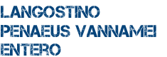Langostino Penaeus Vannamei entero