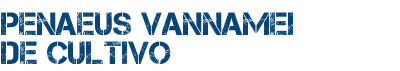 PENAEUS VANNAMEI DE CULTIVO